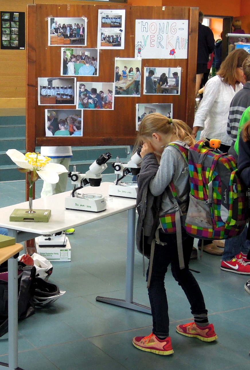 Tag der Nachhaltigkeit 2015